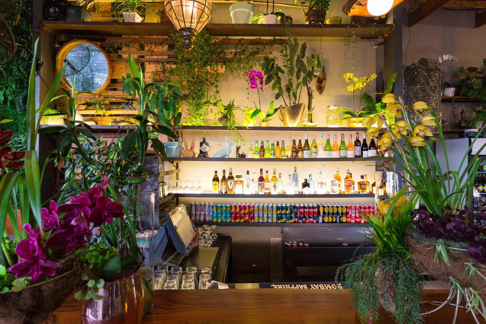 The Living Room - Image 1