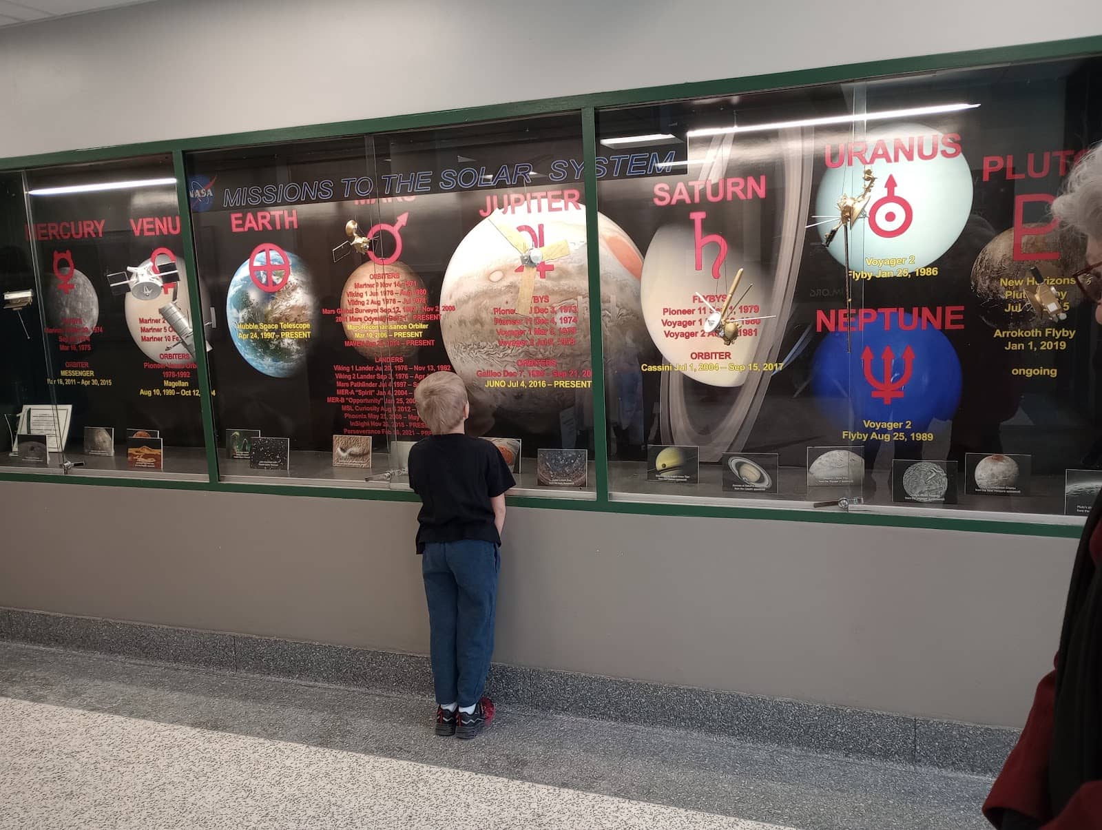 Solar Eclipse Viewings