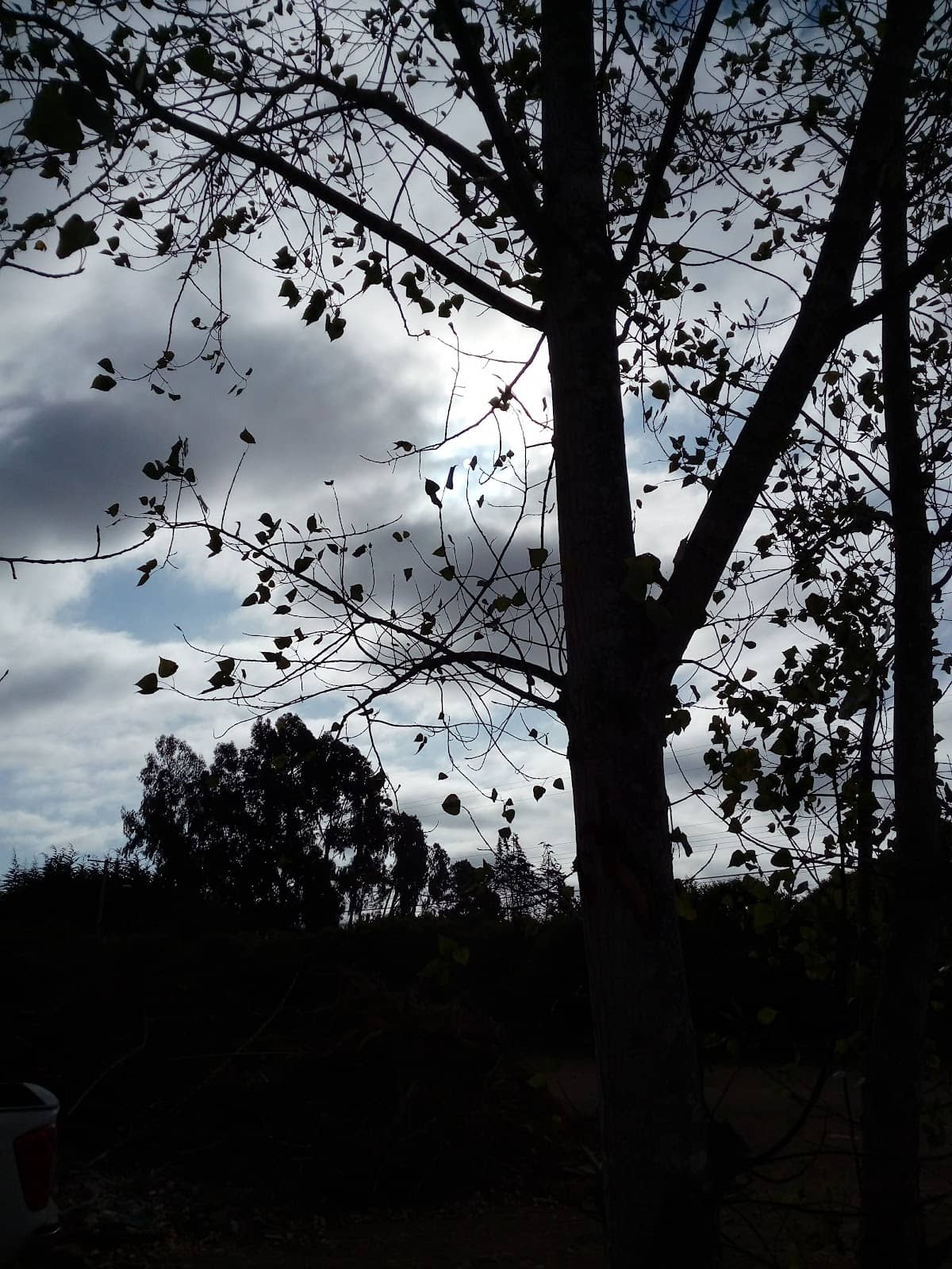 Panoramic City Views