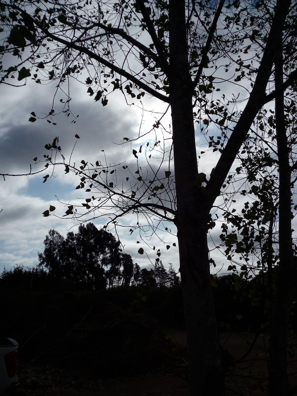 Cerro Grande Viewpoint (La Serena) - Image 1