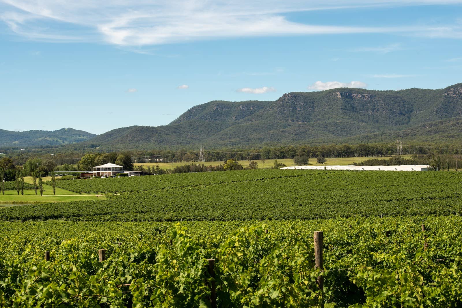 Gourmet Food Experiences