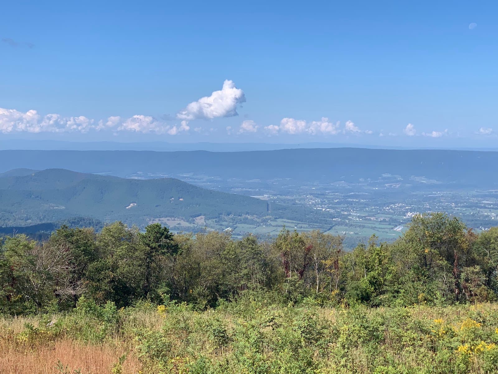 Spitler Knoll Overlook - Image 1
