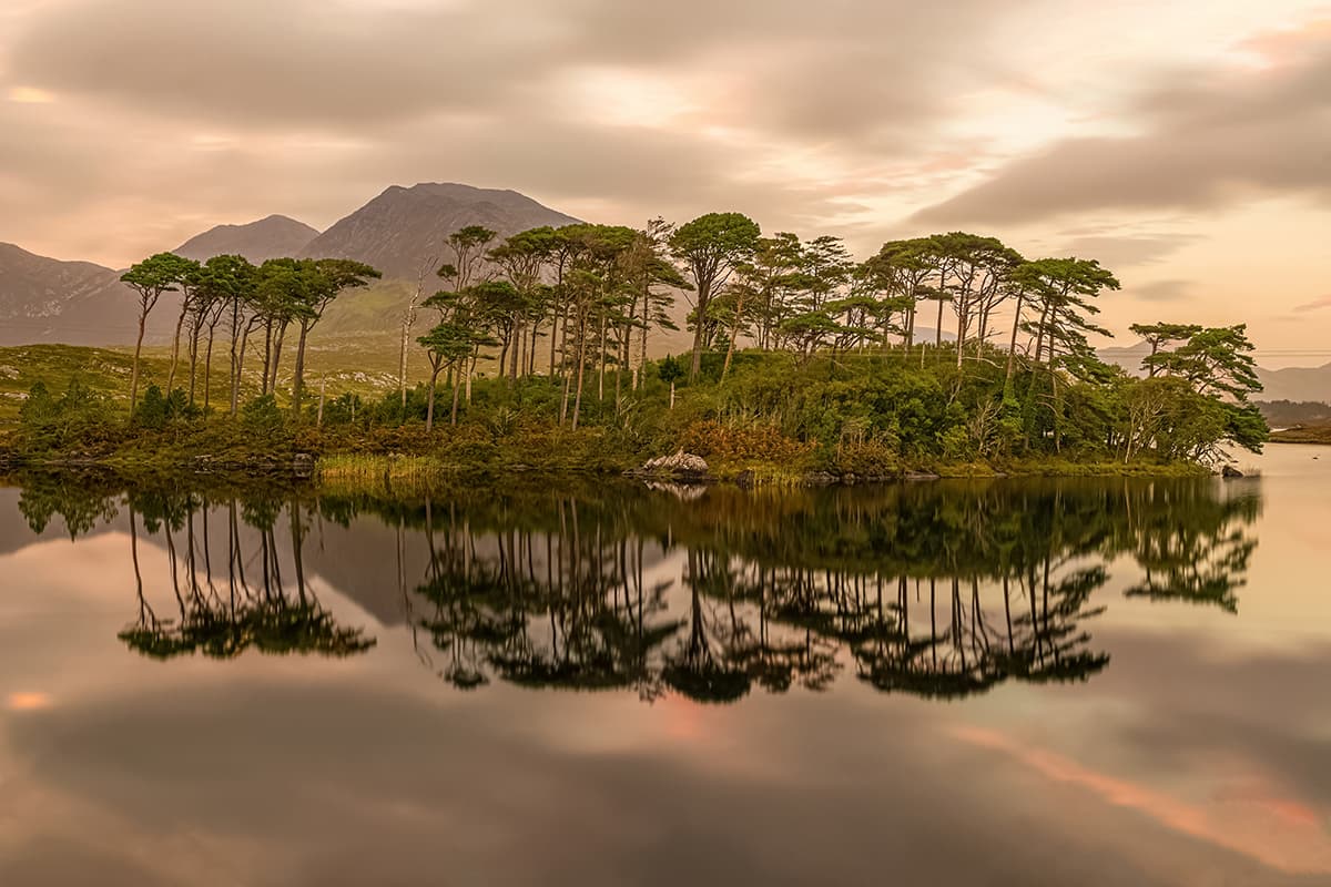 Derryclare Lough Pine Island - Image 1