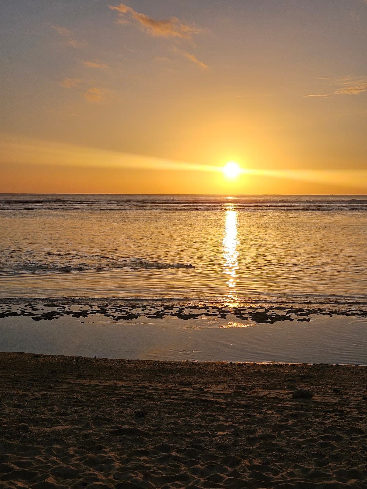 Forêt de l'Ermitage - Image 1