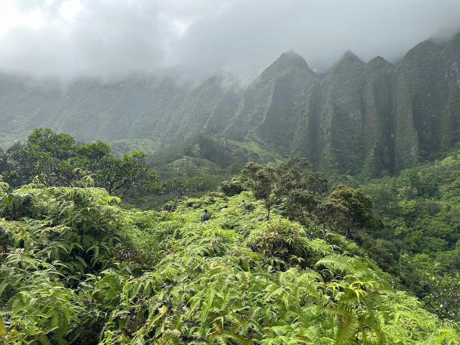 Maunawili Demonstration Trail - Image 1
