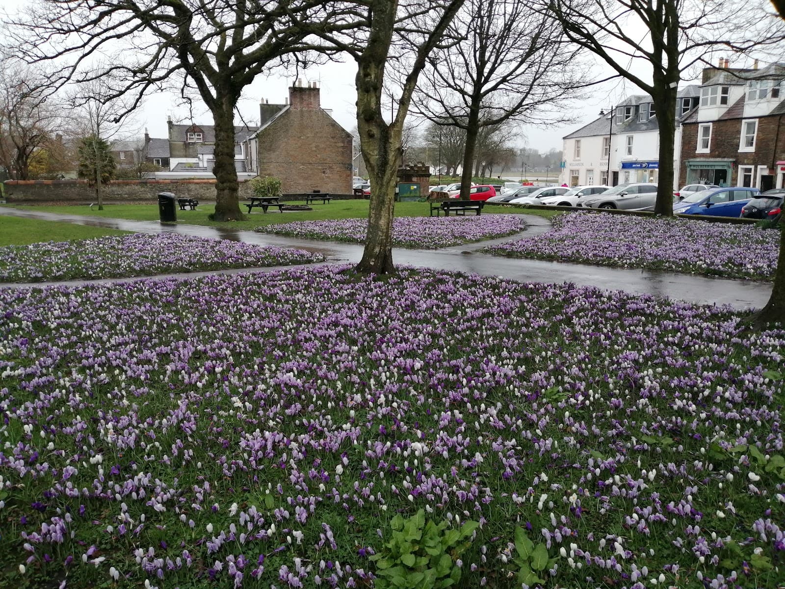 Soaperie Gardens - Image 1