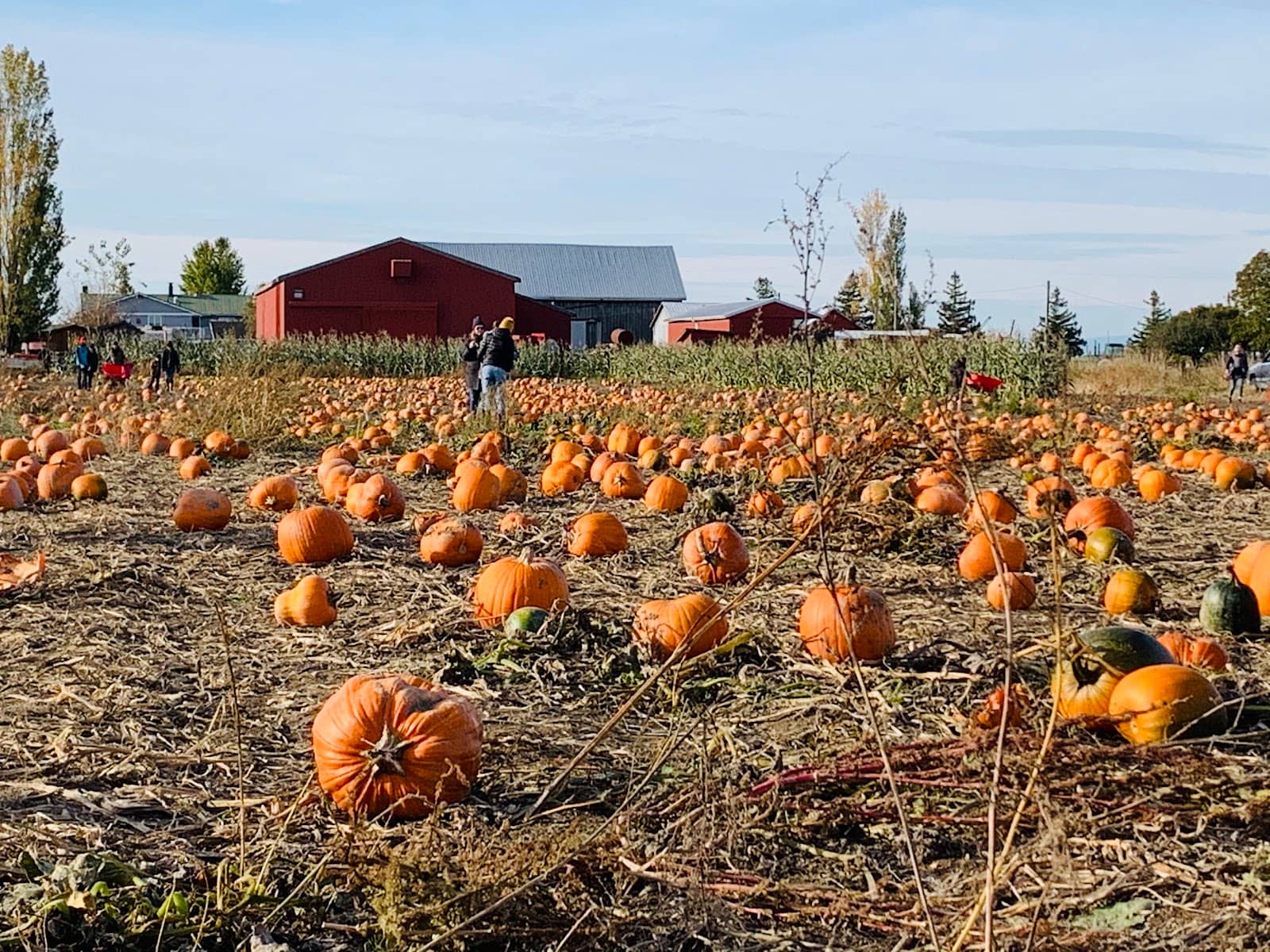 Fresh Produce & Local Goods