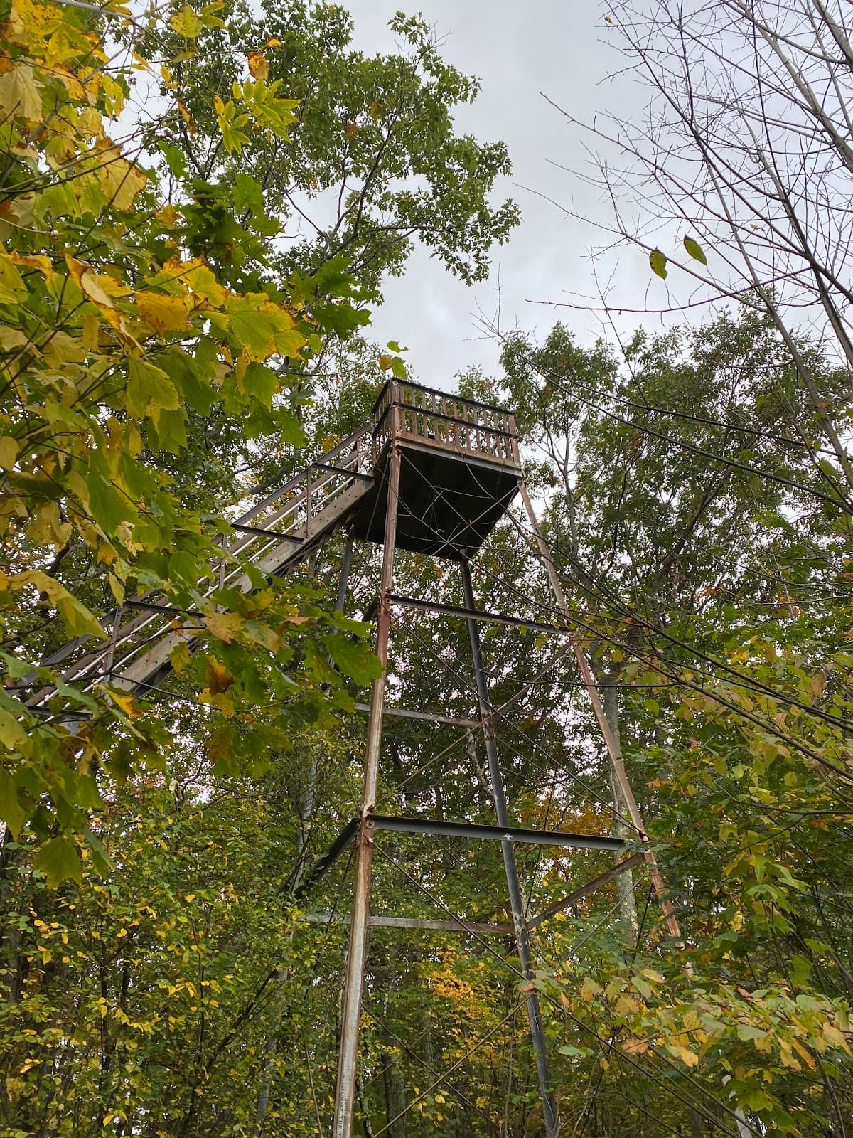 Laura's Tower - Image 1