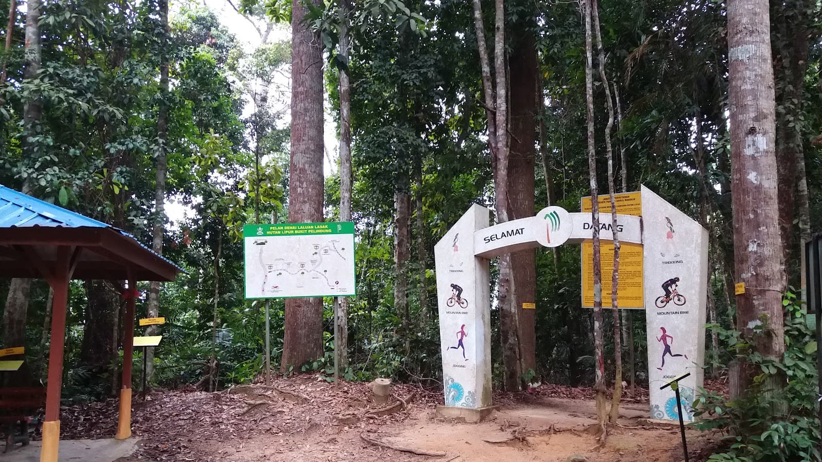 Bukit Pelindung Forest Reserve - Image 1