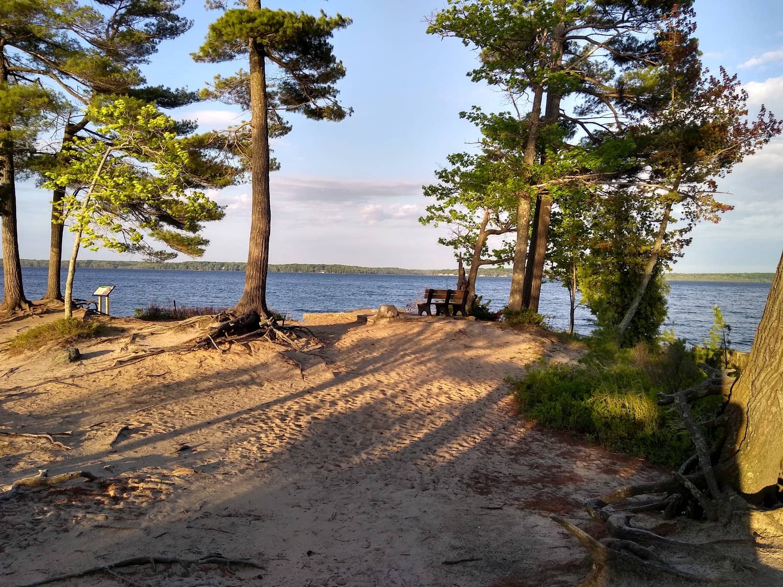 Wooded Trails & Reflection Pools