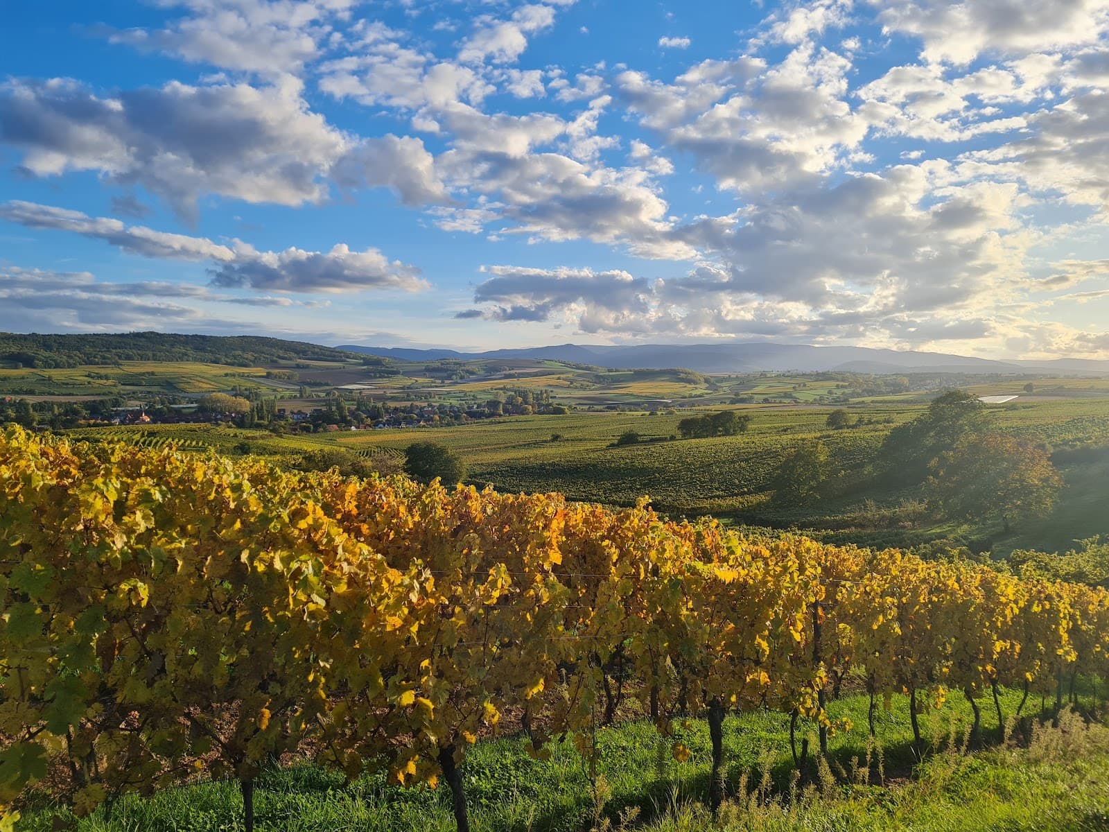 Sentier viticole d'Obernai - Image 1