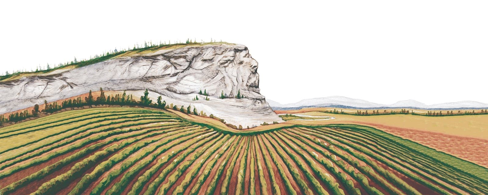 Covert Farms Family Estate - Image 1