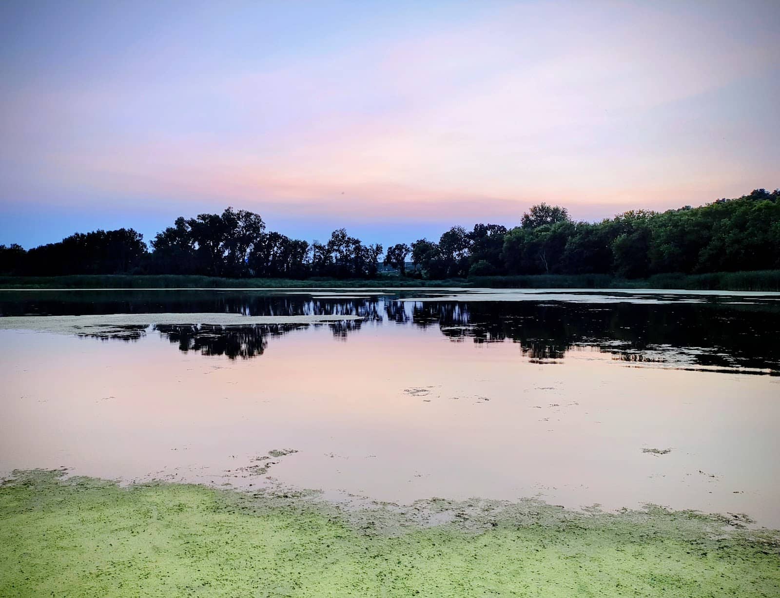 Muskrat and Beaver Spotting