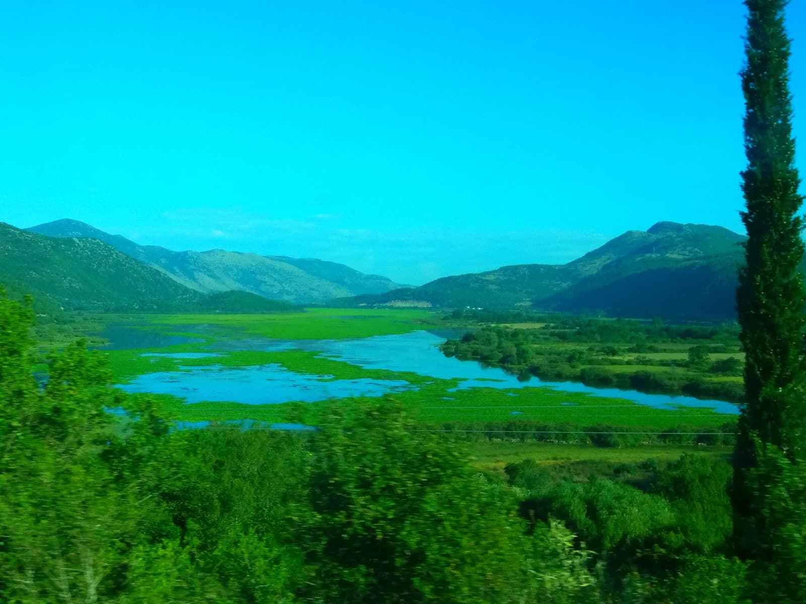 Kalodiki Wetland - Image 1