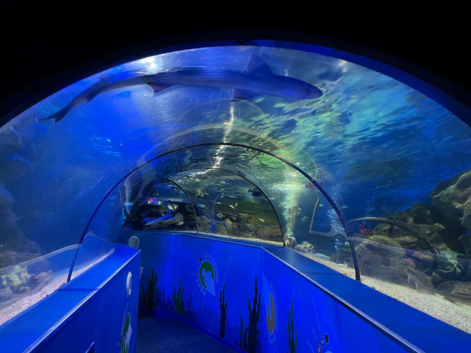 SEA LIFE Scarborough - Image 1