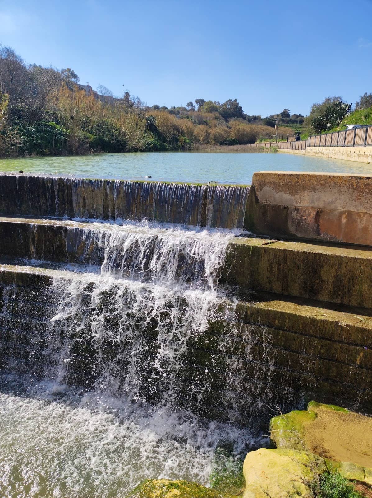 Photography Opportunities