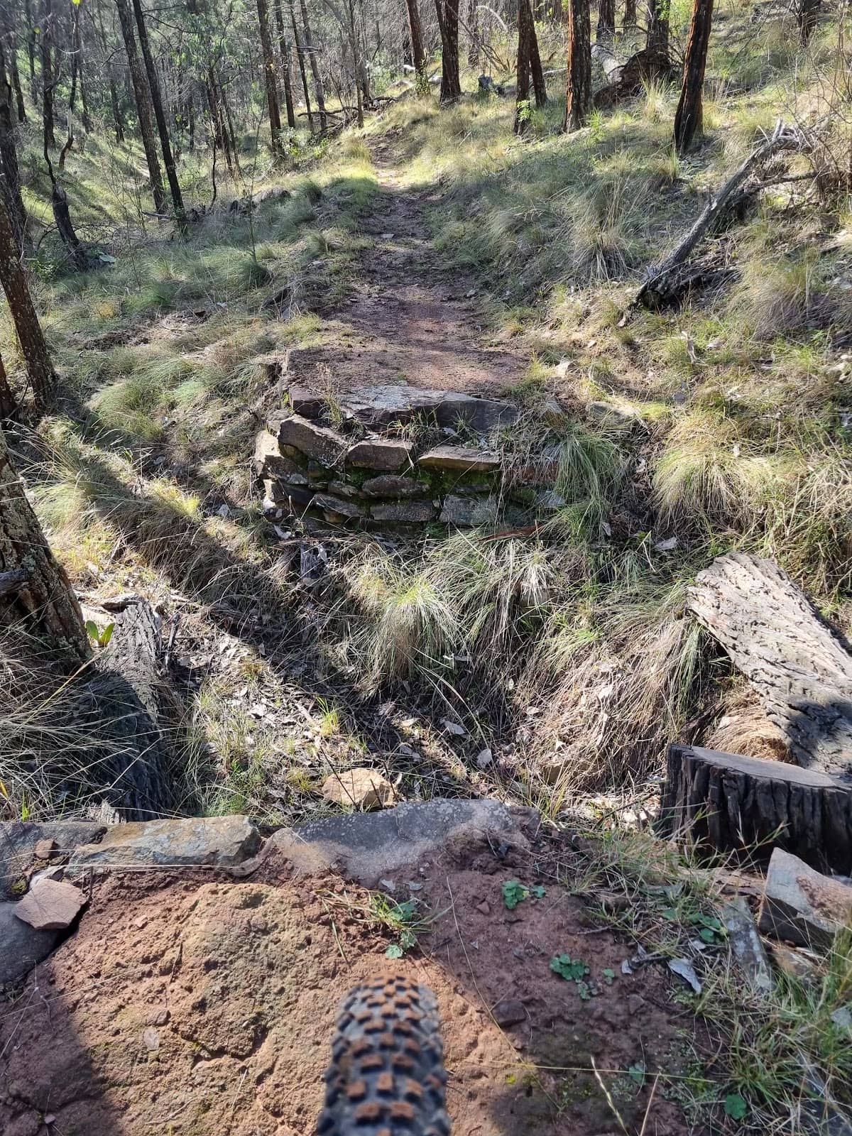 Family-Friendly Exploration