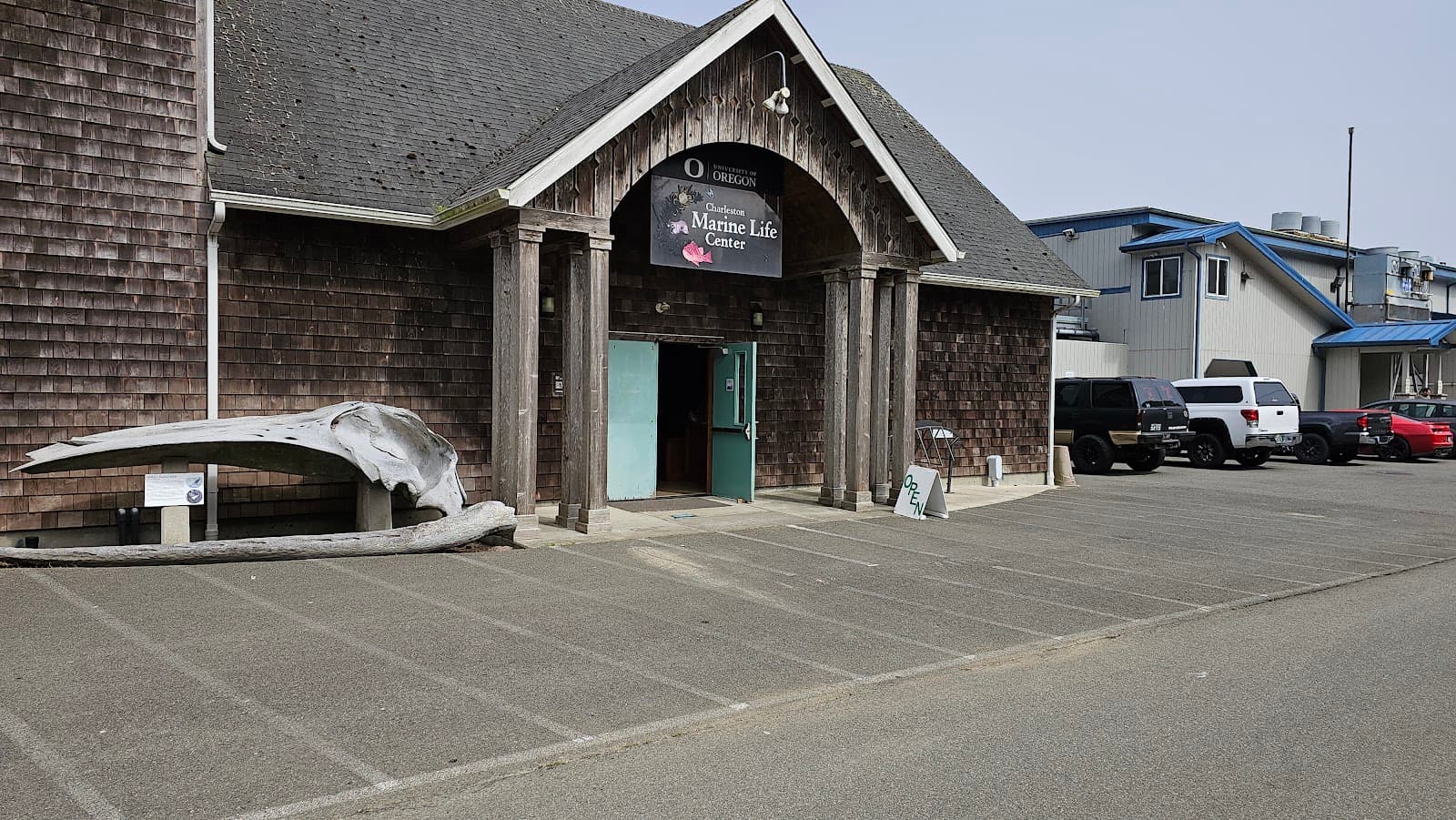 Charleston Marine Life Center - Image 1