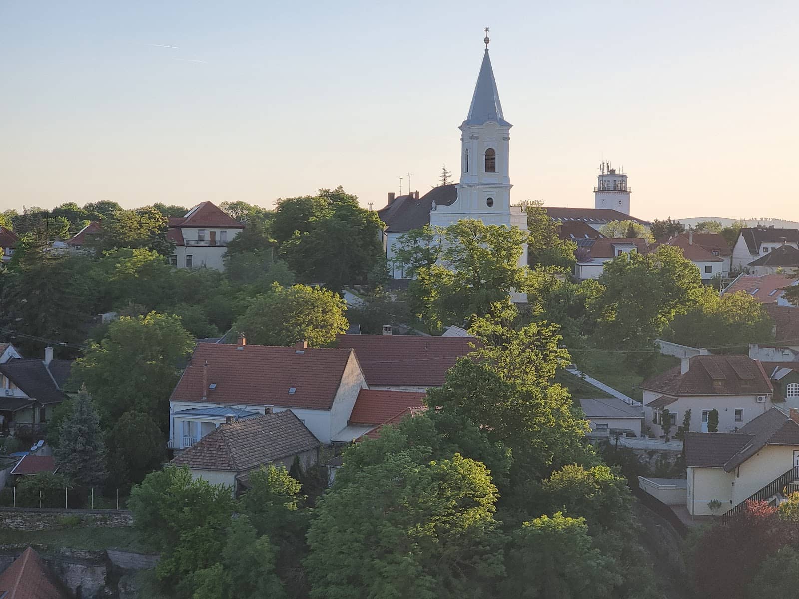 Ödön, the Street Musician
