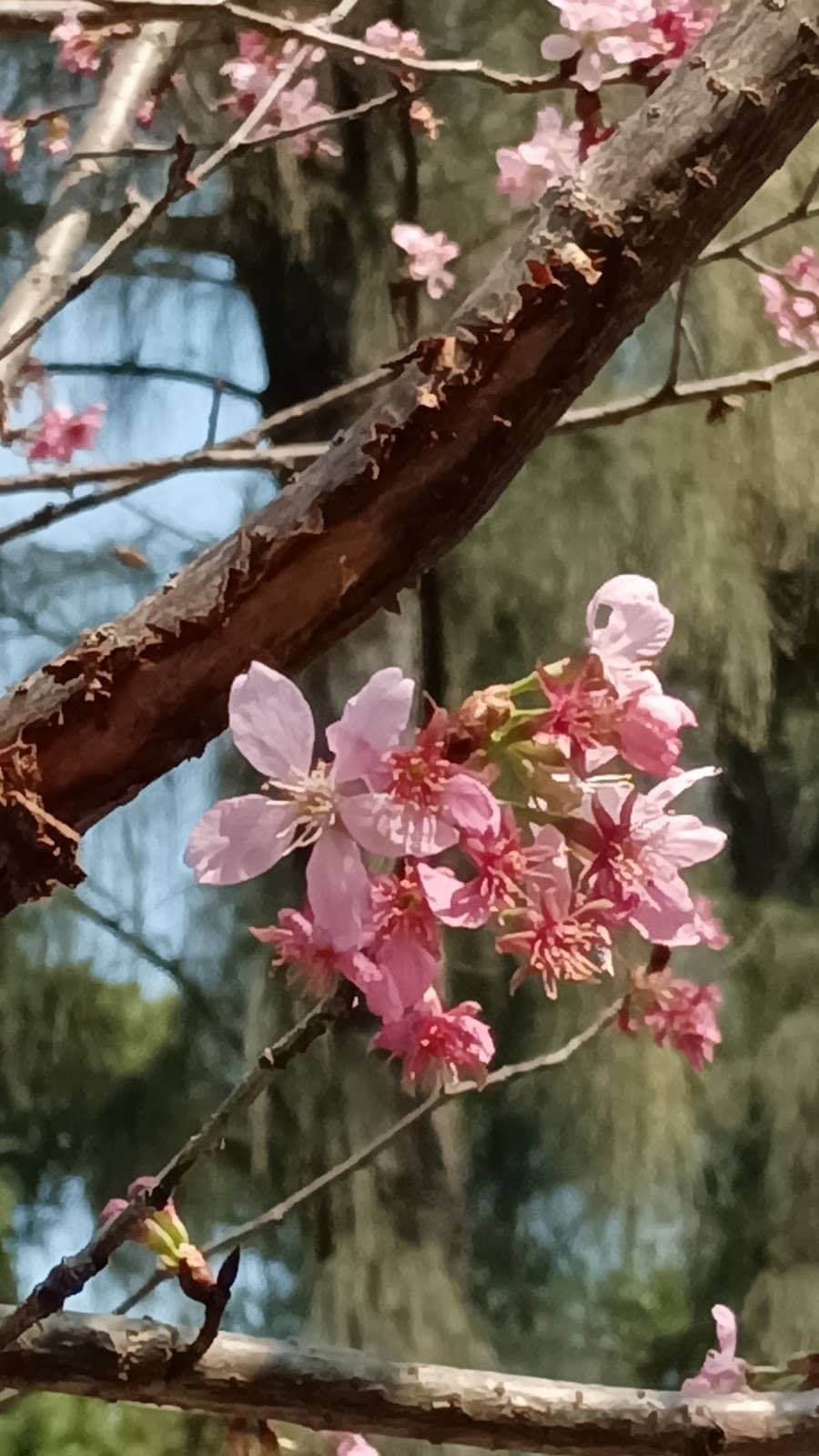 Scenic Waterfront Views