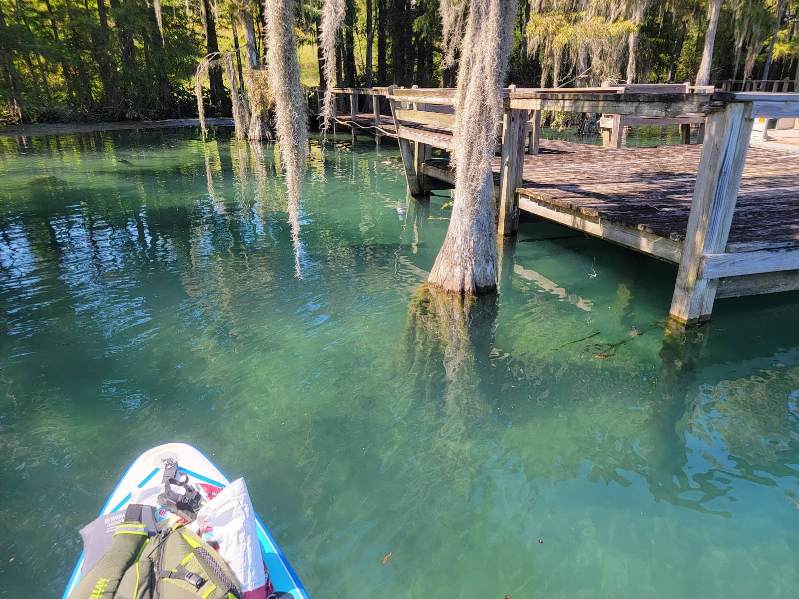 Gator Cave Exploration