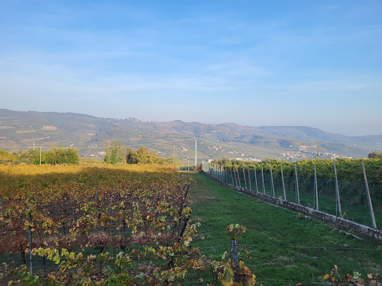 Castelcerino - Image 1