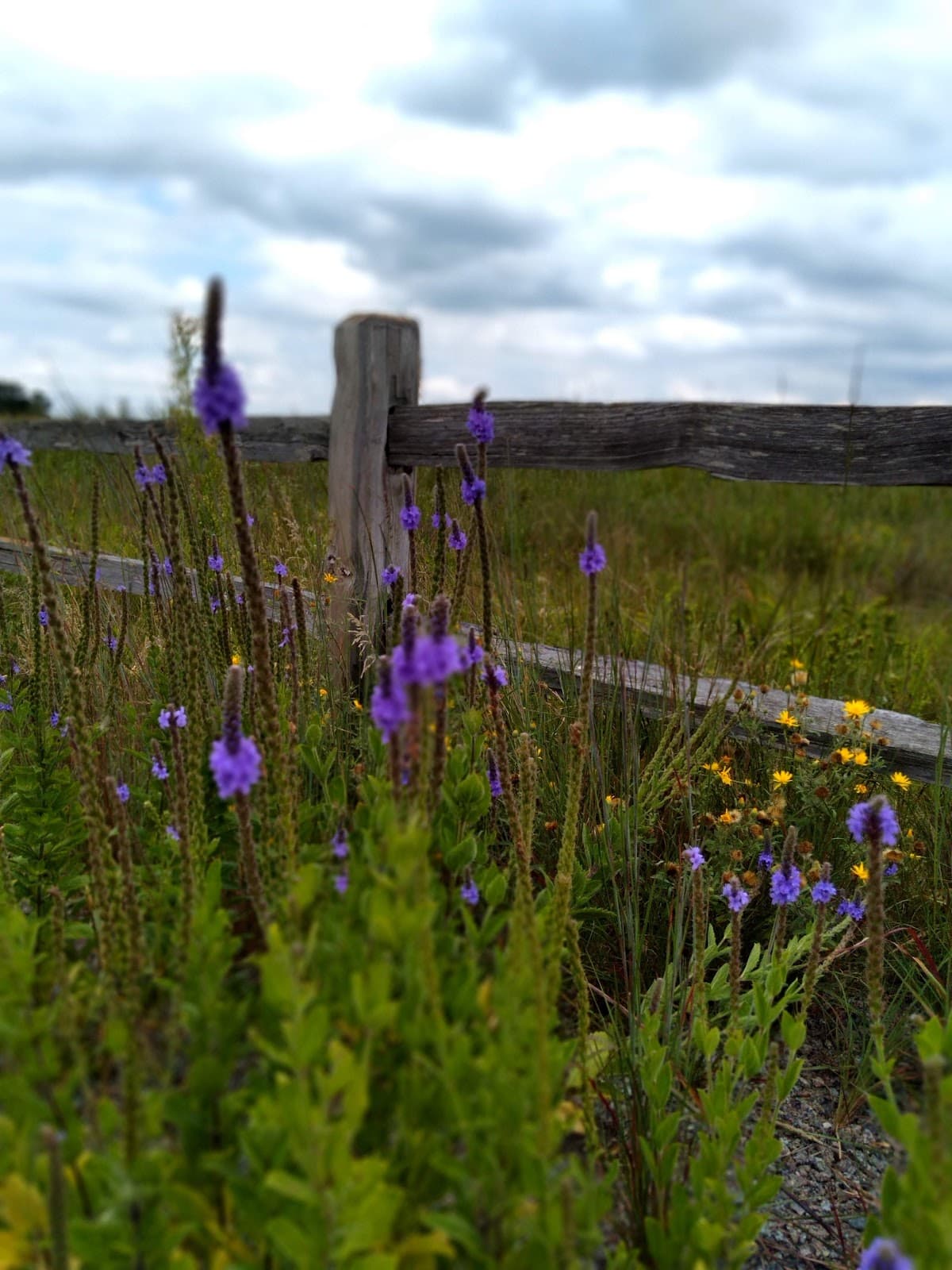 Historic Southside Neighborhood - Image 1