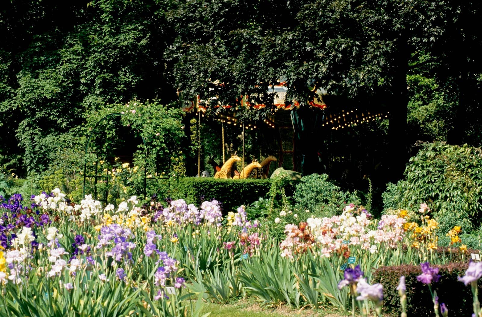 Proximity to Carousel