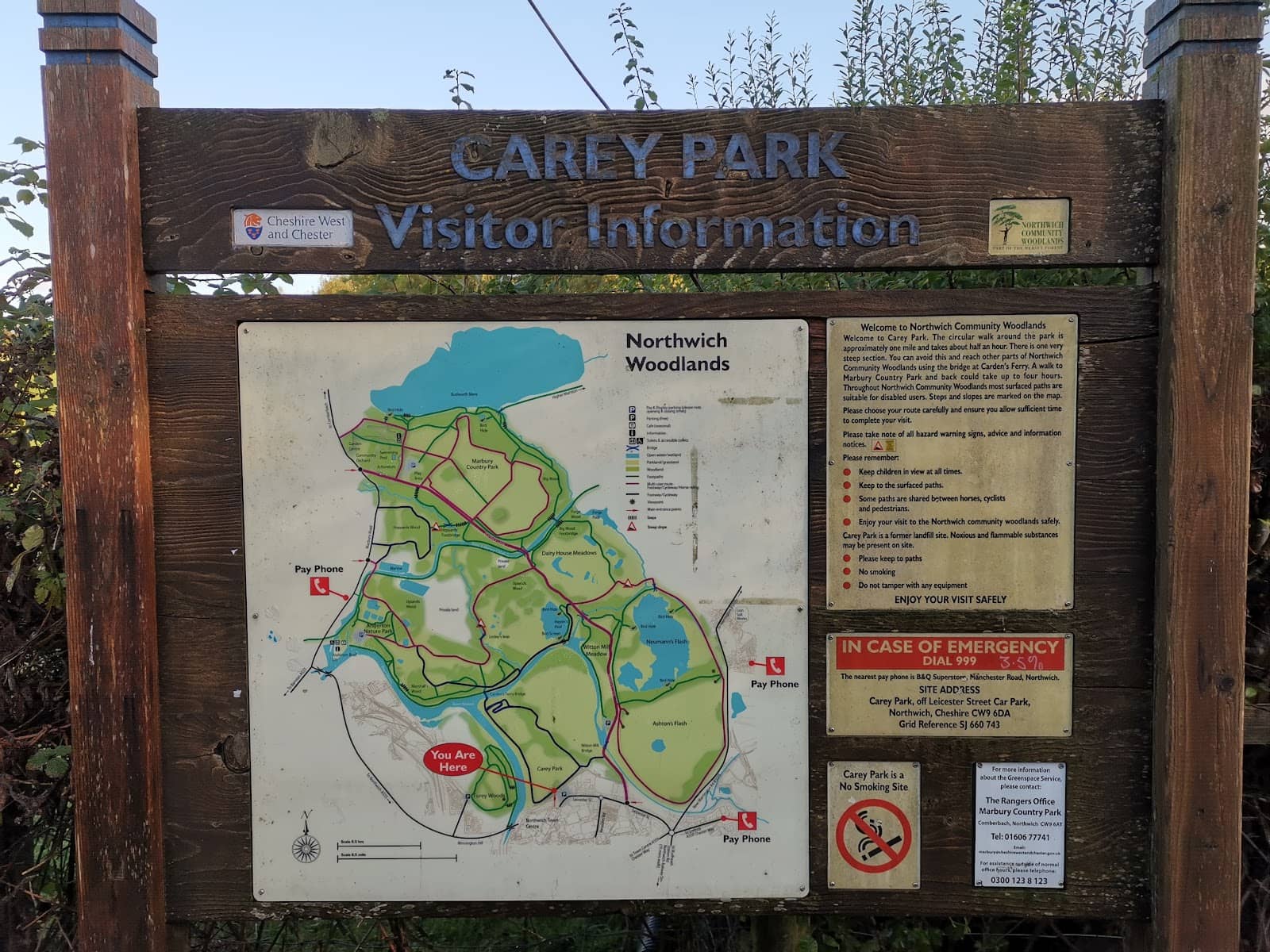 Open Fields for Dogs