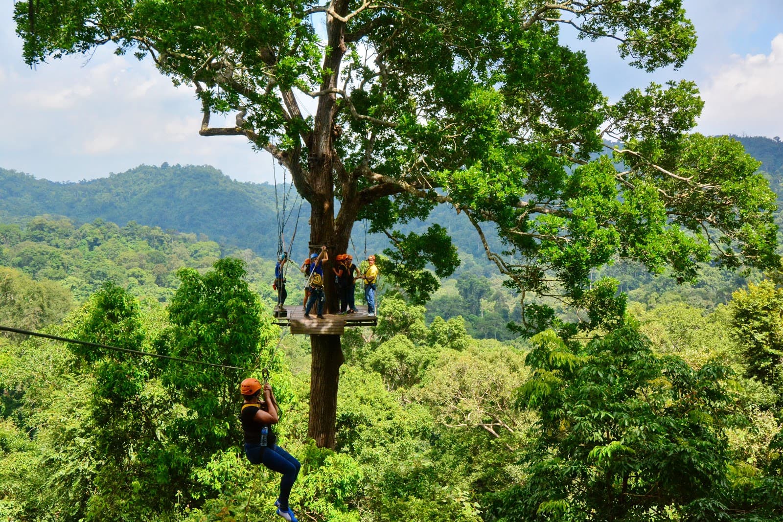 Flight of the Gibbon Chonburi - Image 1