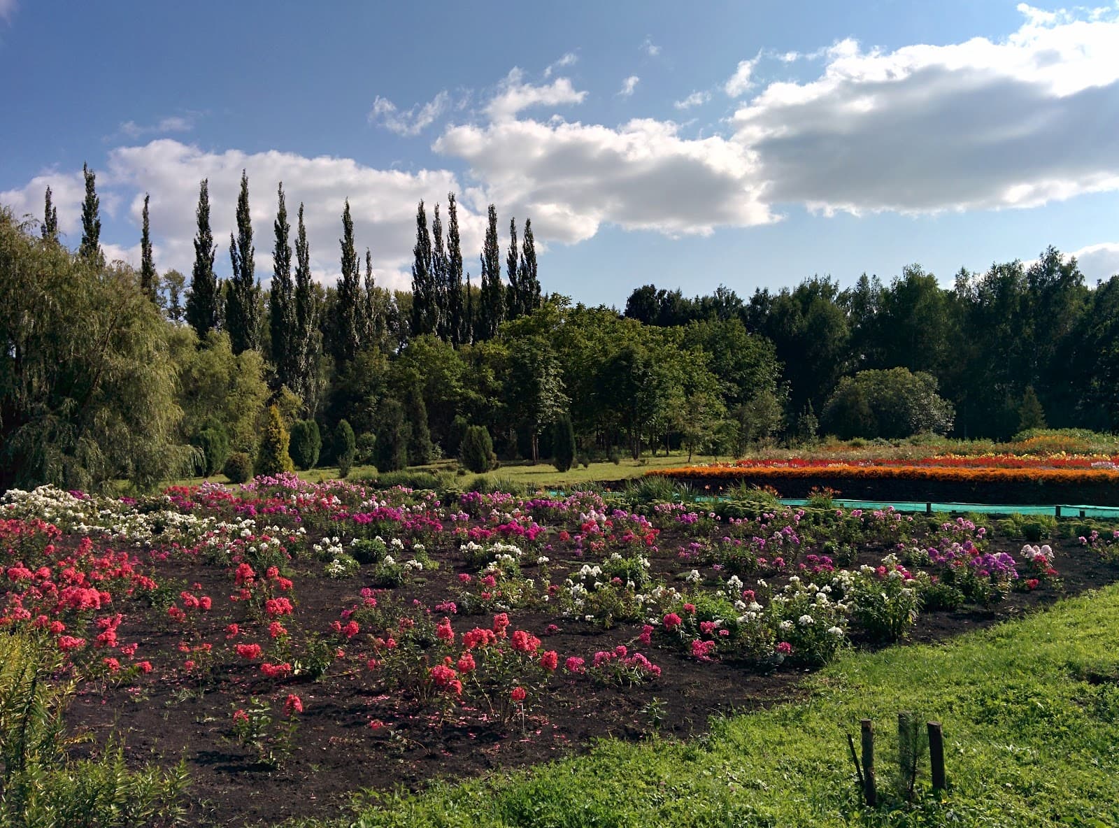 Ogarev University Botanical Garden - Image 1