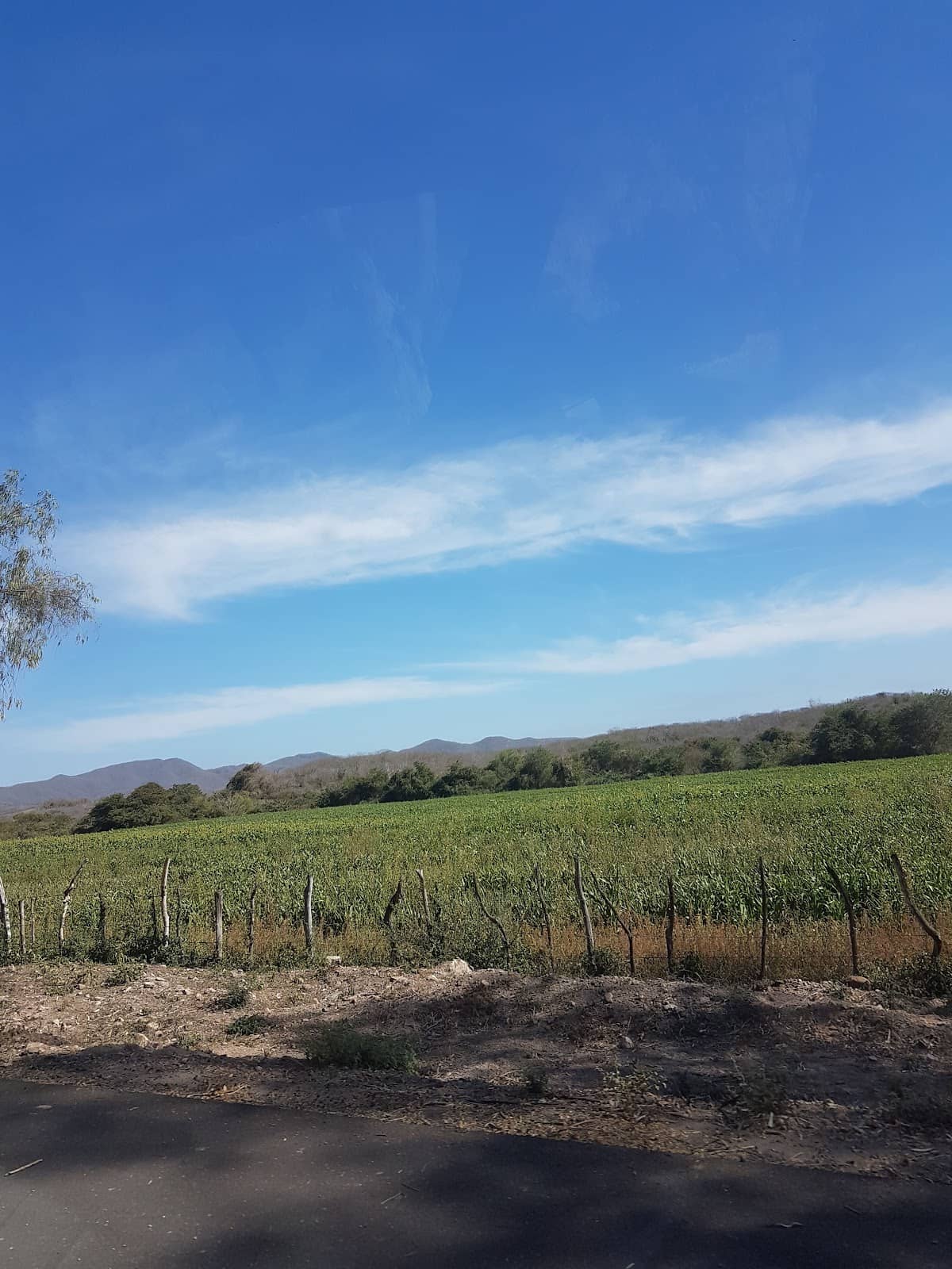Traditional Mexican Games