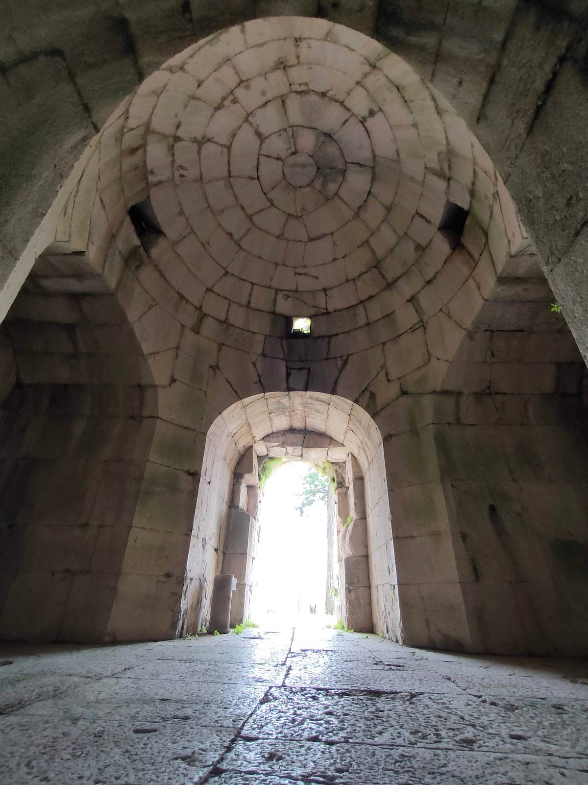 Vertical photo