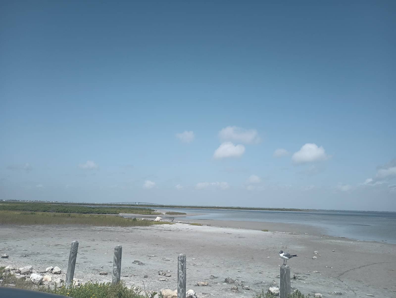 Peaceful Coastal Views