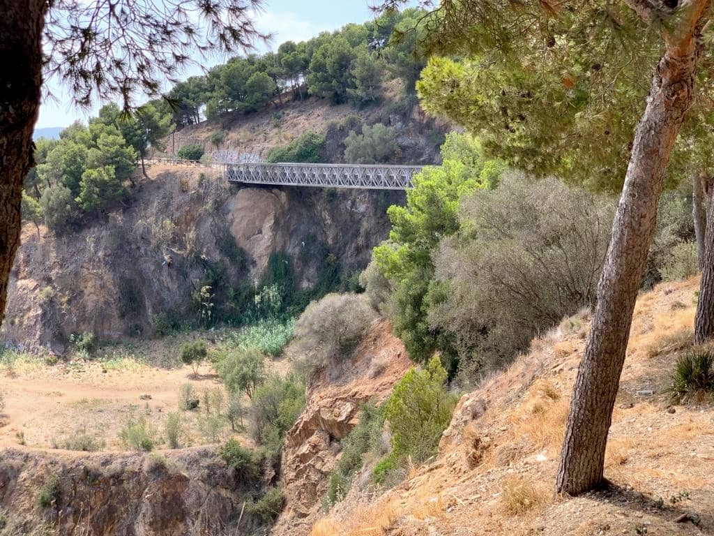 Tranquil Park Stroll