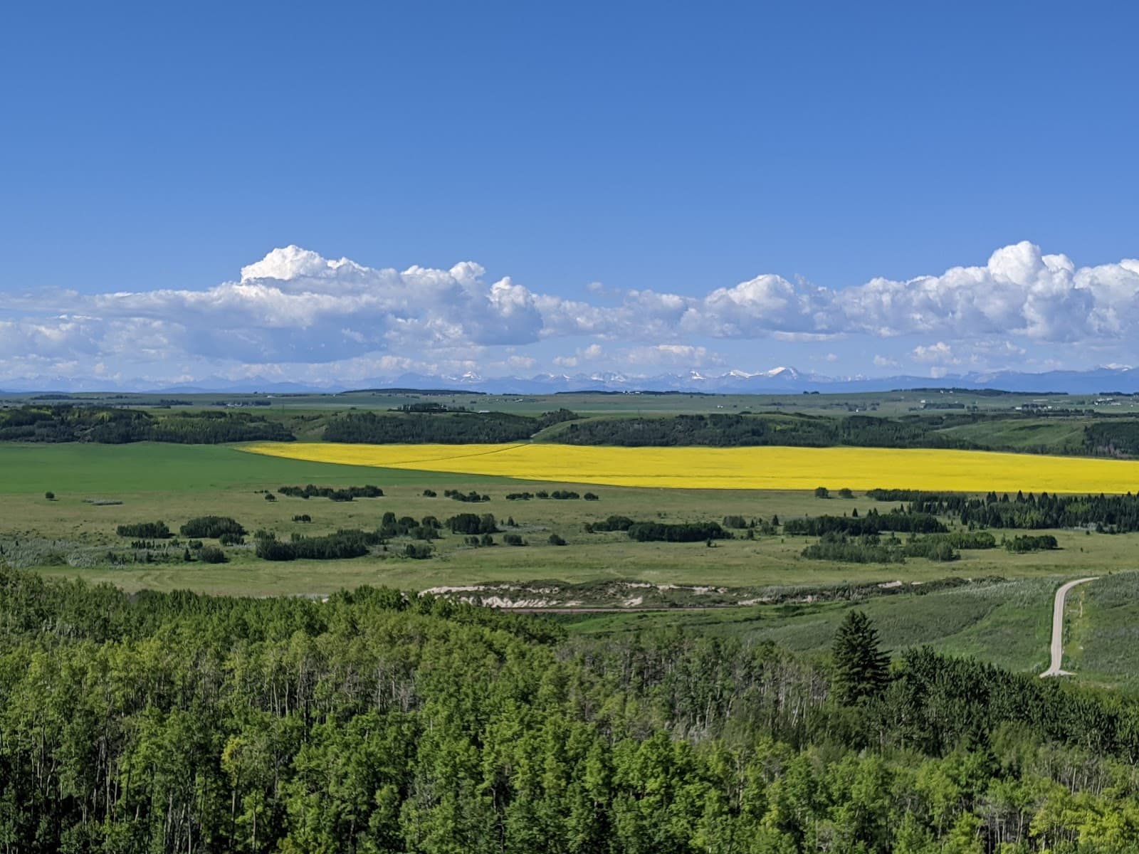 Glenbow Ranch Provincial Park - Image 1