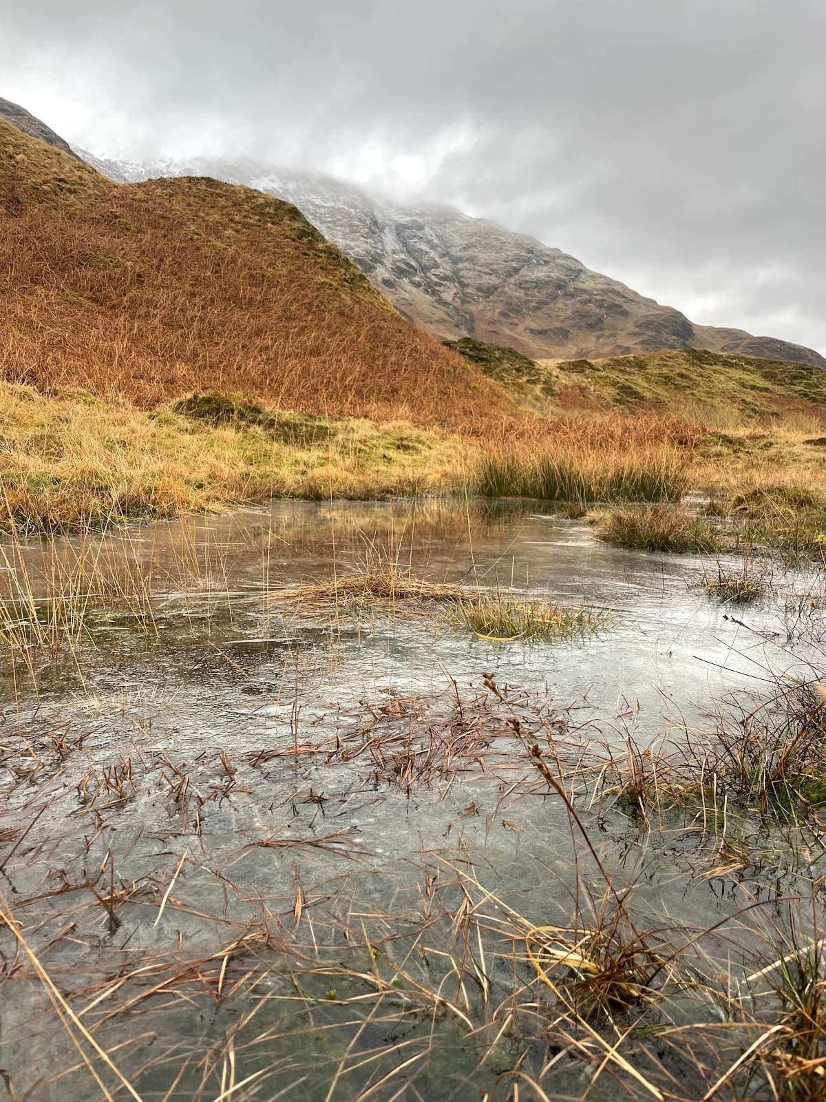 Glen Artney - Image 1