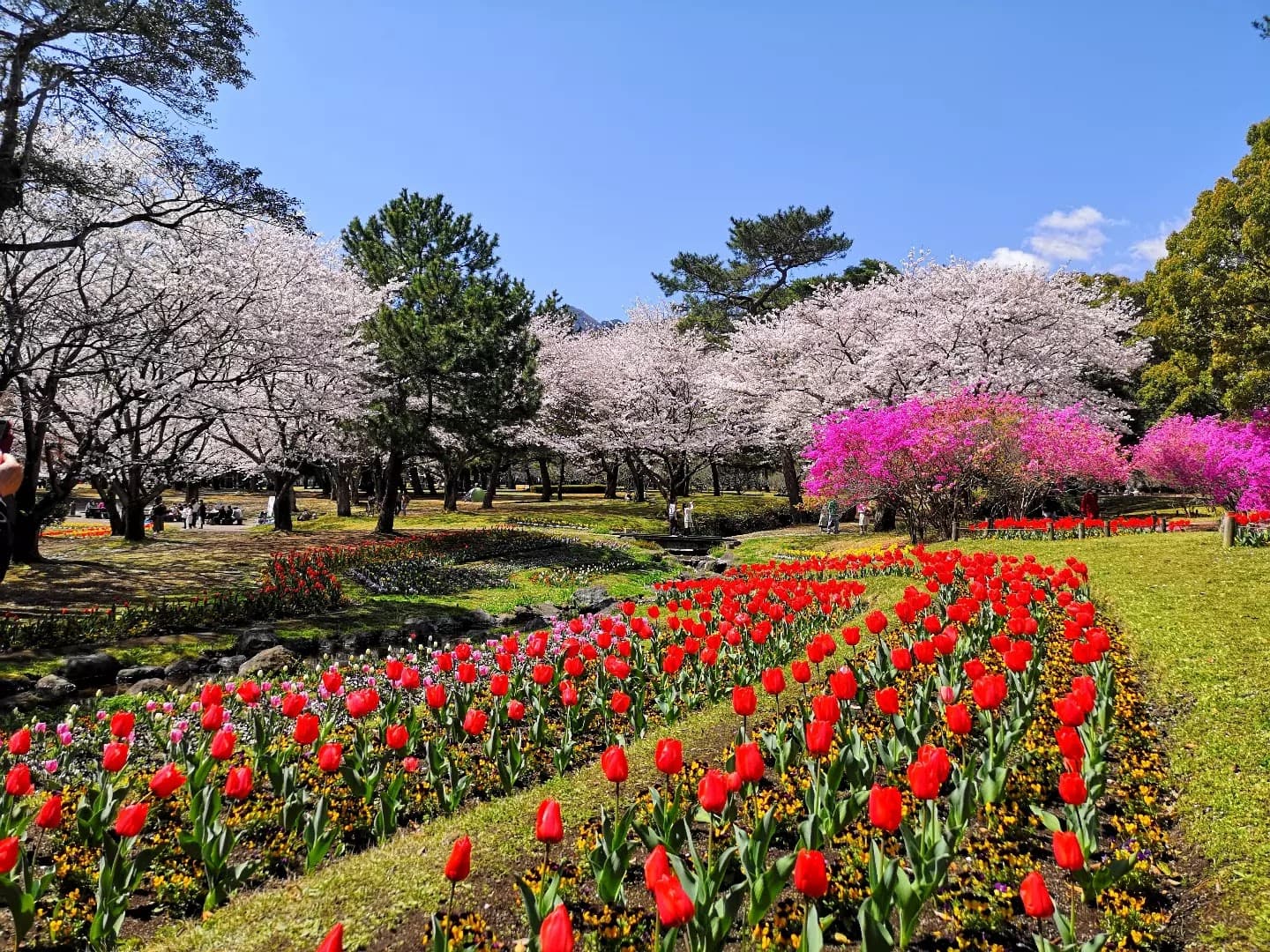 Beppu Park - Image 1