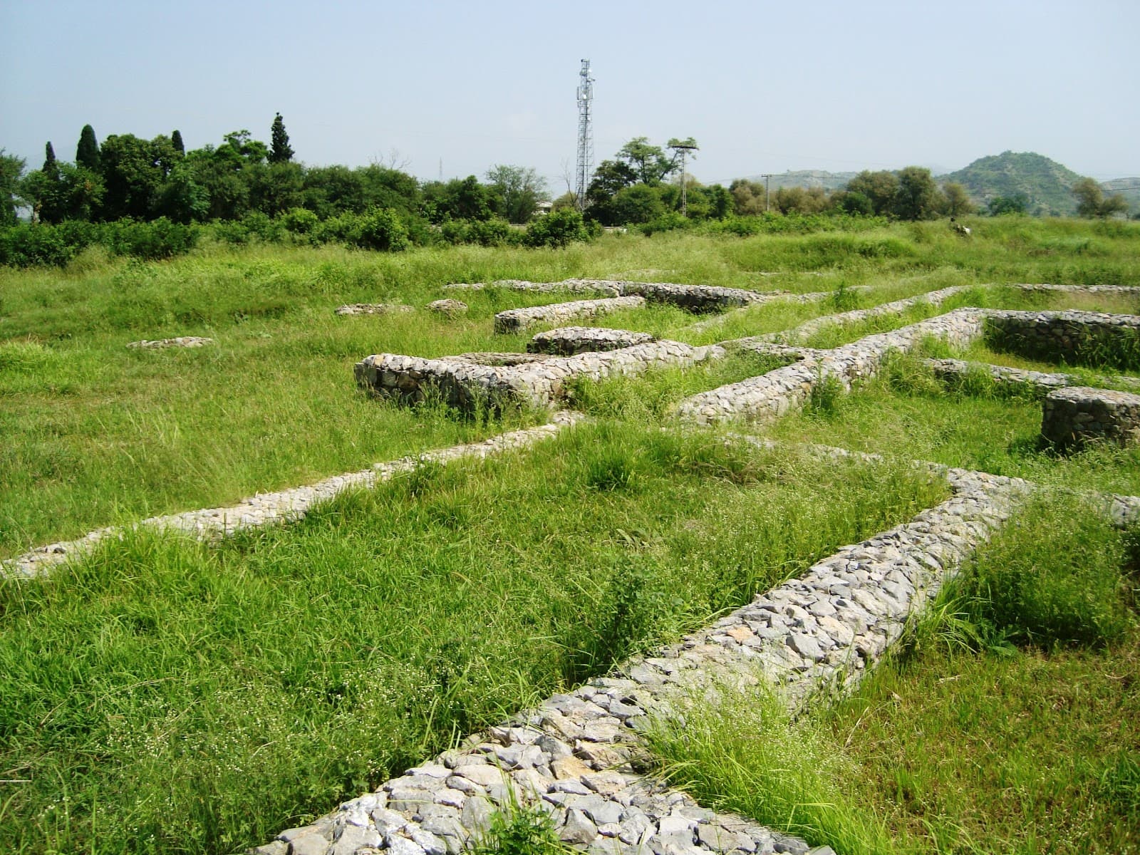 Bhir Mound Taxila - Image 1