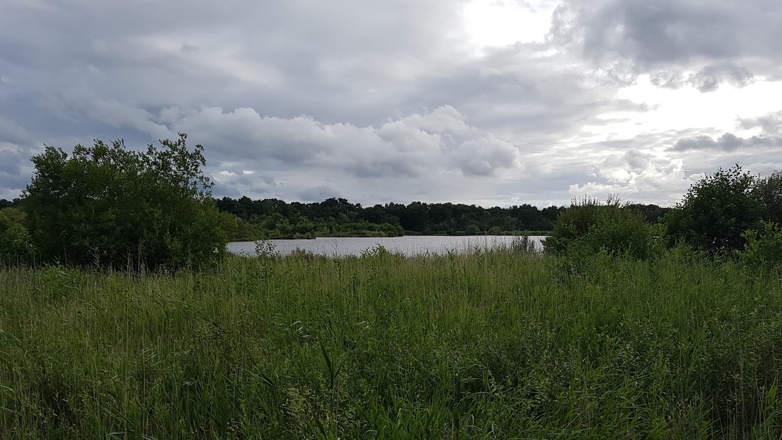 Fleet Pond Nature Reserve - Image 1