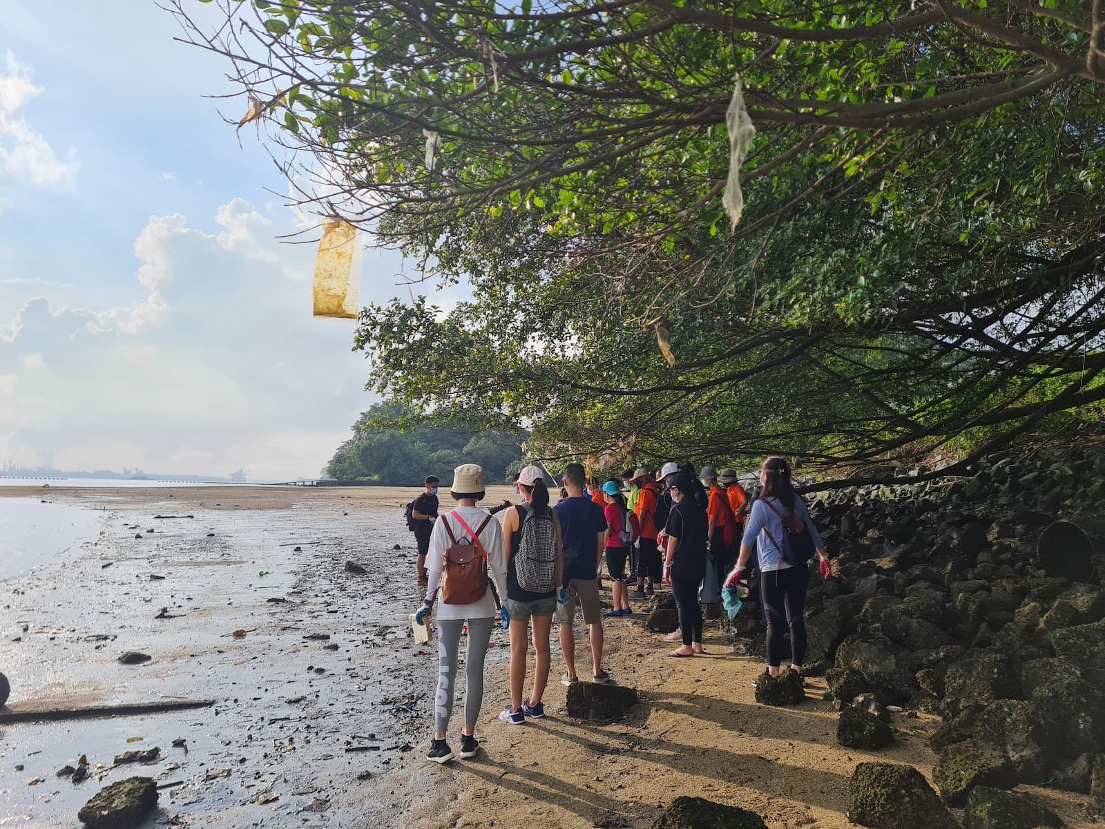 Various Workshops (e.g., The Green Nudge) - Image 1