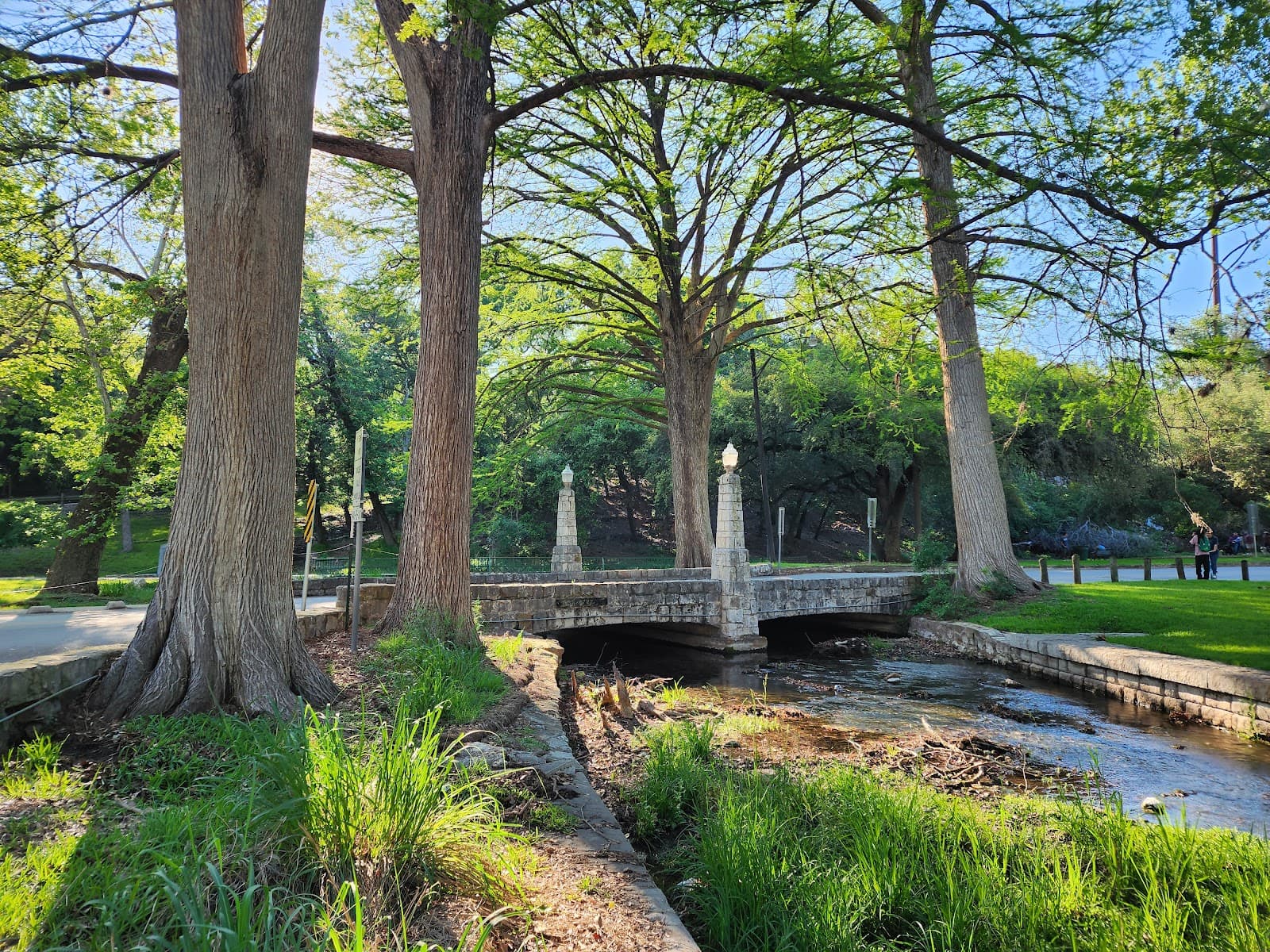 Comal Springs - Image 1