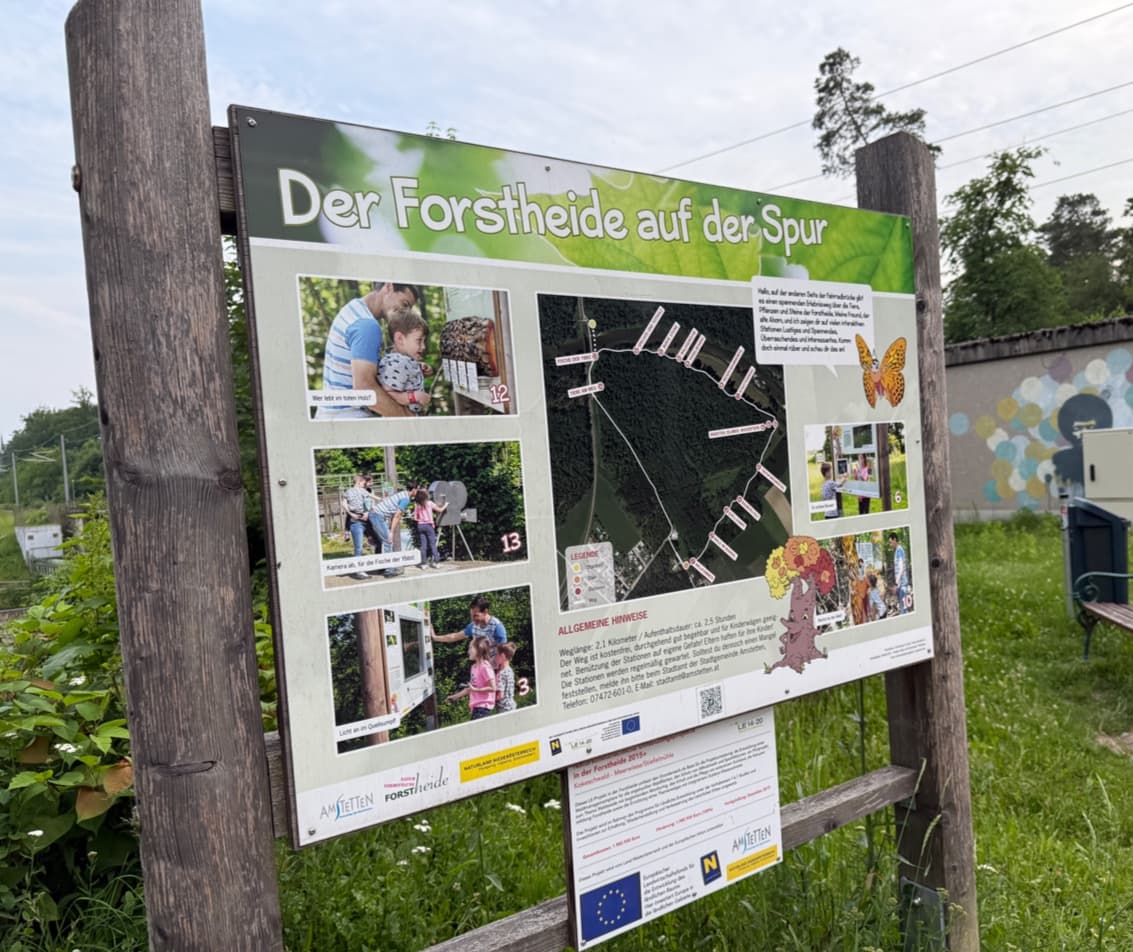 Forstheide Forest - Image 1