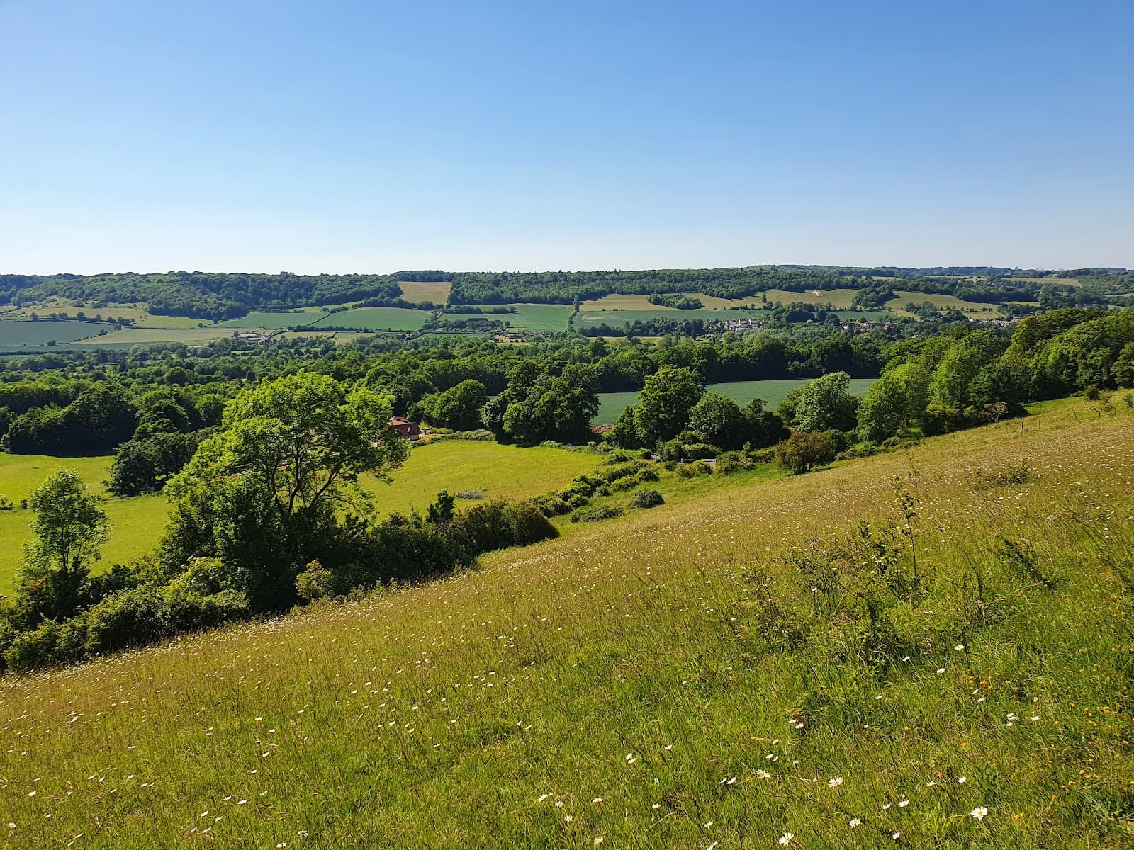 Fackenden Down Kent - Image 1