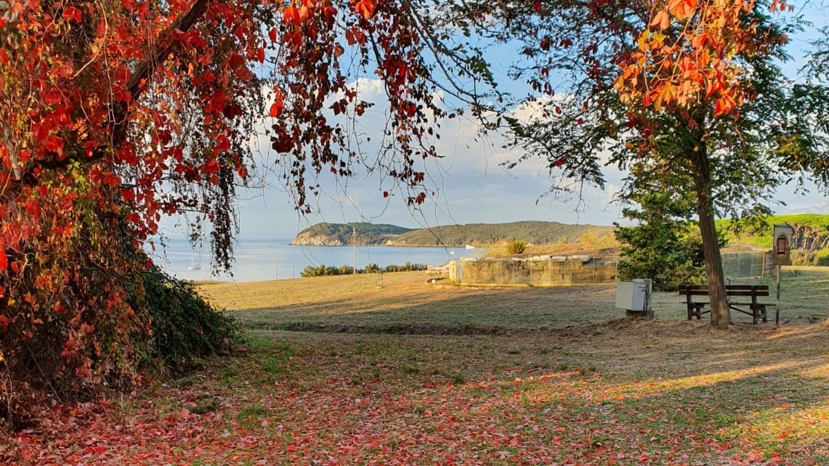 Baratti and Populonia Archaeological Park - Image 1