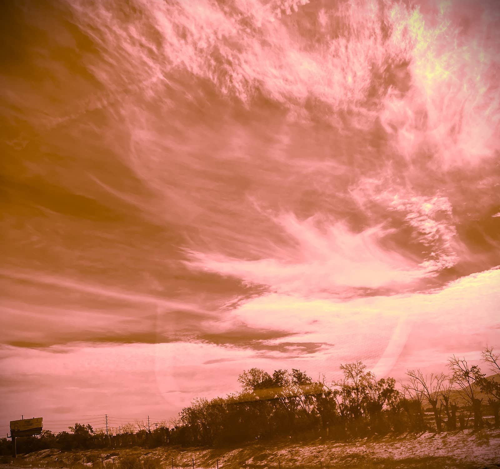 Sculptural Installations