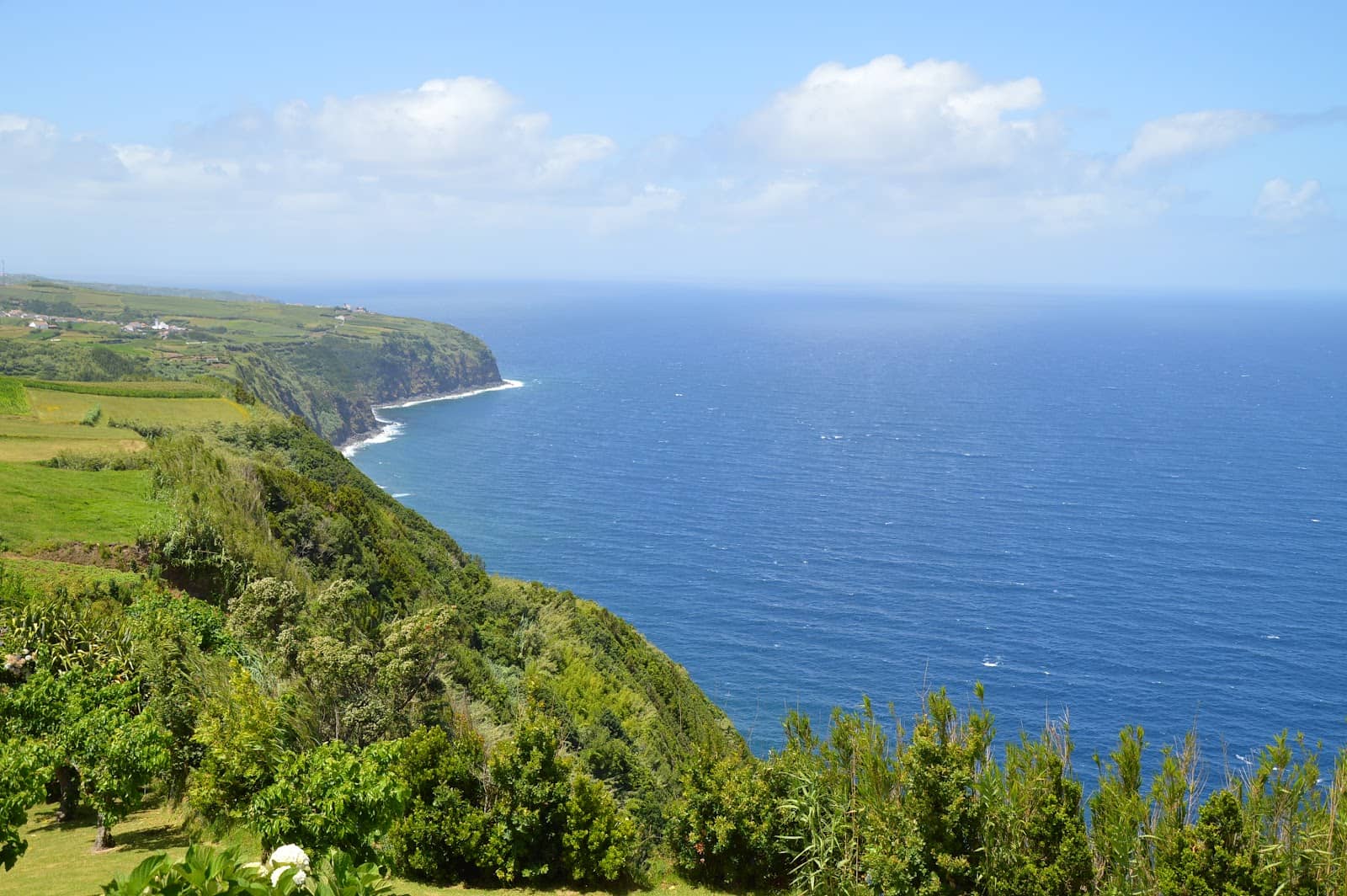 Charming Picnic Area