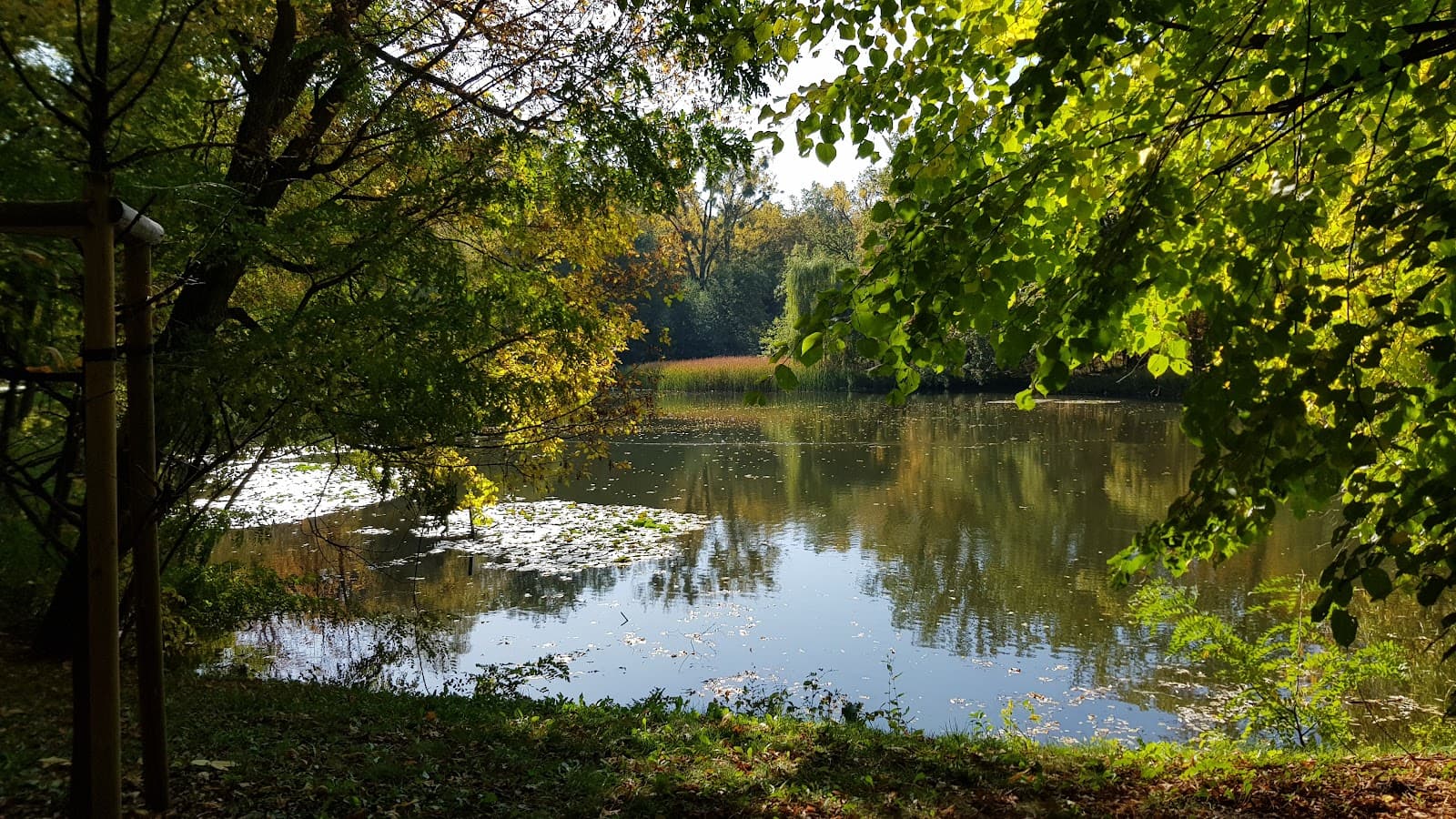 Bolko Island Park - Image 1