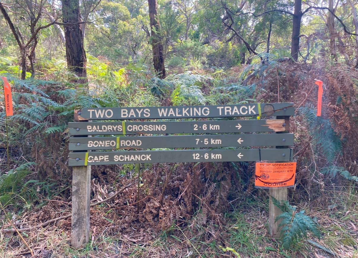 Greens Bush Exploration