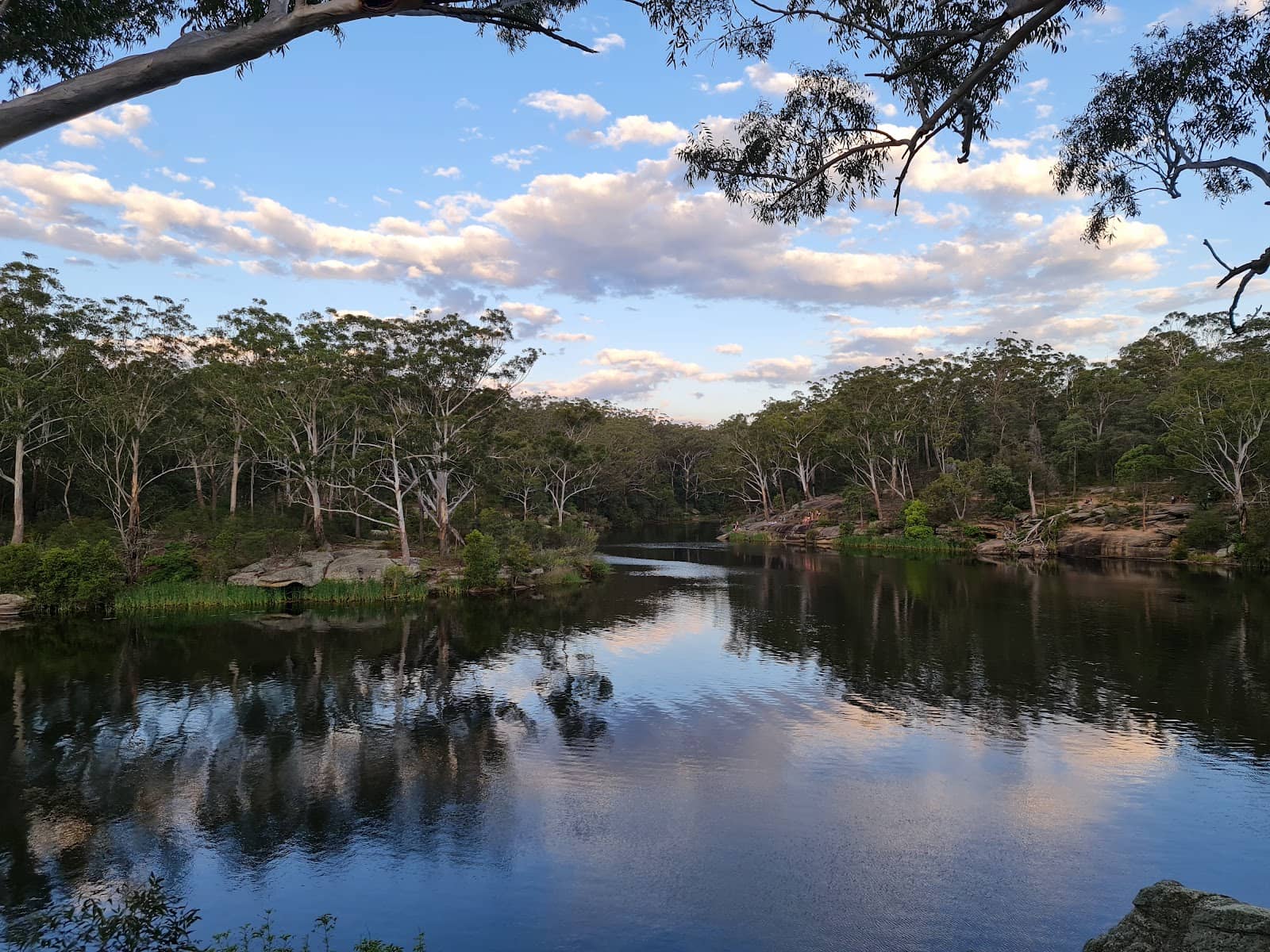 Family-Friendly Picnics